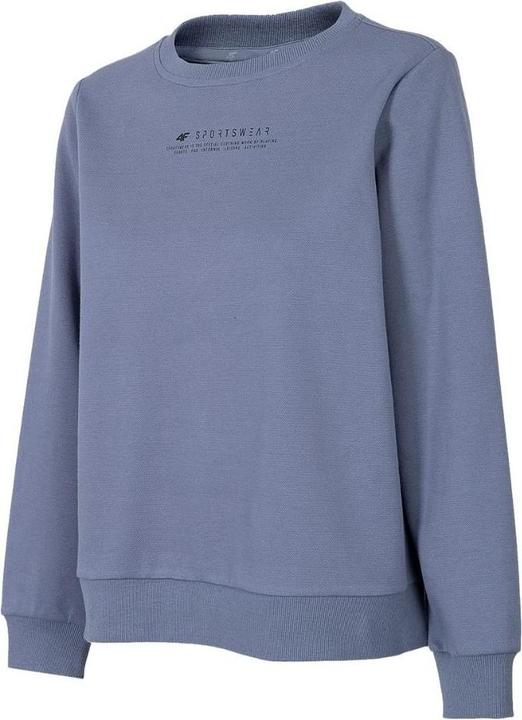 Produktbild 4F Damen Pullover grau H4Z22 BLD020 25S (M) (M)
