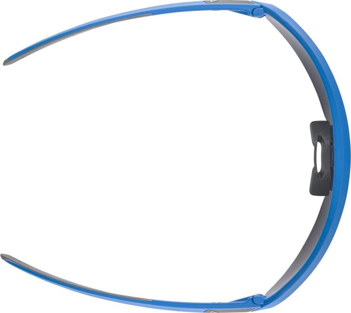 Actual product image ALPINA SPORTS Turbo Pro Youth (Blue Matt, Red)