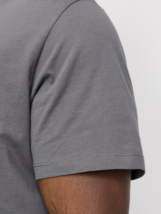 Actual product image Jack & Jones Jjelogo Tee Ss O-Neck 2 Col Aw24 S Pls (4XL)