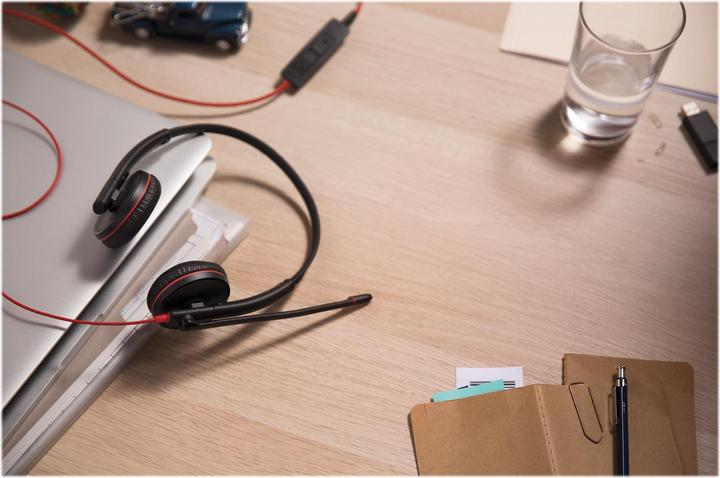 Immagine prodotto Poly Blackwire C3225 (Cablato, USB-A)