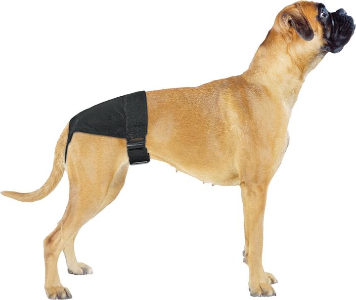 Image du produit Swisspet Pantalon de protection pour chiens CLEANIES Gr. 2 (Chien)