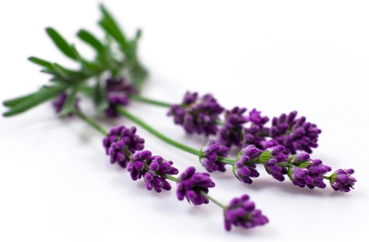 Actual product image Yogistar Bio Yogamatten Reiniger Fresh Lavender 500 Ml