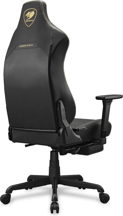 Actual product image Cougar Armor Evo S
