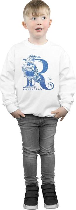 Produktbild Ravenclaw Glitter Sweatshirt Jungen (140, 146)