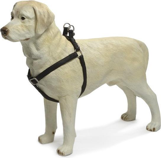 Actual product image Beeztees BZ HARNESS MACL SCHWZ 15X35-6 (Dog, Dog sport)