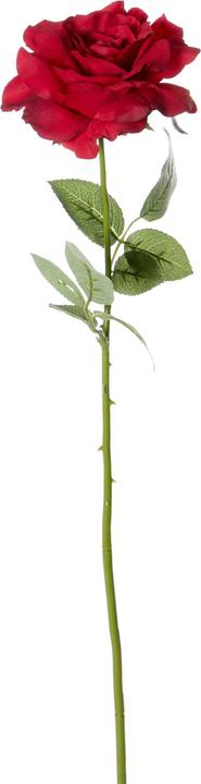 Luwatex Rose remplie (69 cm)
