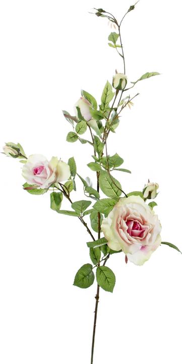 Luwatex Rose ramifiée (101 cm)