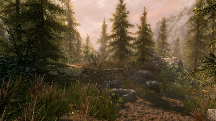 Image du produit Bethesda The Elder Scrolls V : Skyrim (Switch, Multilingue)