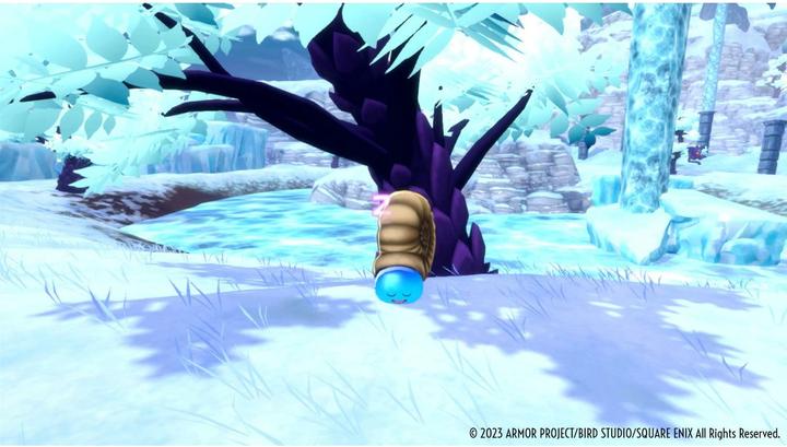 Image du produit Square Enix Dragon Quest Monsters : Le Prince Noir (Switch, DE)