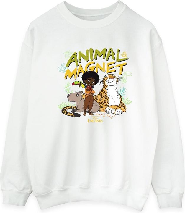 Produktbild Disney Encanto Animal Magnet Sweatshirt (S)