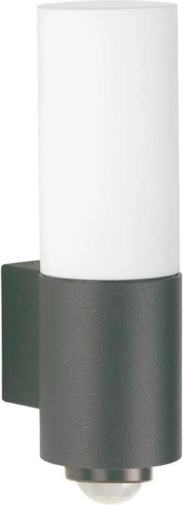 Anthracite