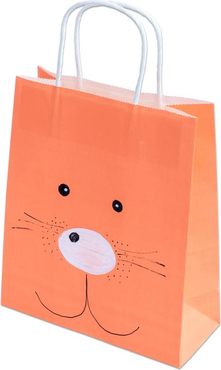 Image du produit Folia Sacs en papier (Pochette cadeau, 20 x)