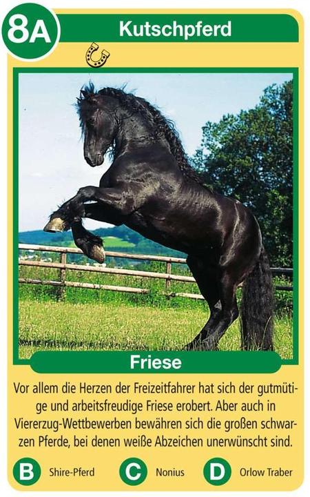 Immagine prodotto Ravensburger Cavalli Pony (Tedesco)