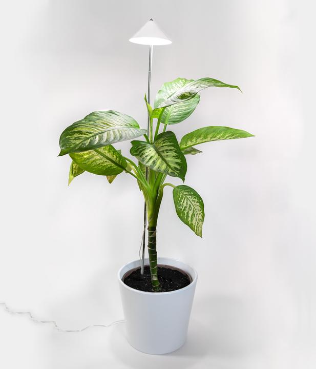Produktbild Parus by Venso Sunlite XL 25 (LED, 230 V)