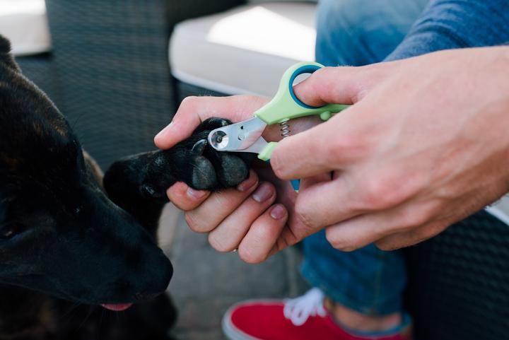 Image du produit Zen Clipper Cisaille à griffes (Chien, Chat)