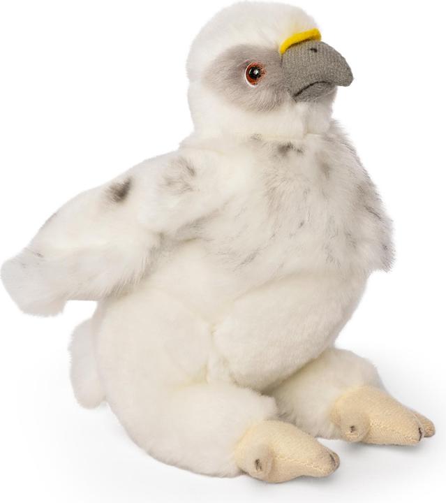 Actual product image Living Nature Bald Eagle Chick (15 cm)