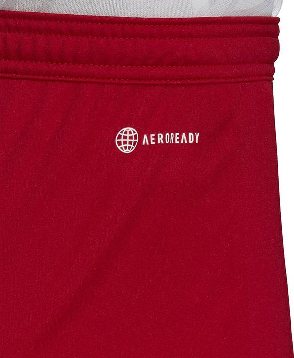 Image du produit adidas Short Entrada 22 Hommes (L)