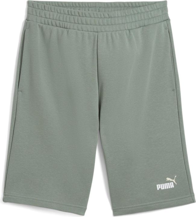 Produktbild Puma ESS 2 COLOR No. 1 Logo Shorts 10" TR (XL)