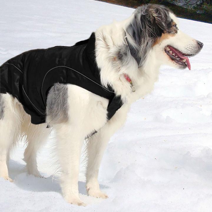 Schwarz