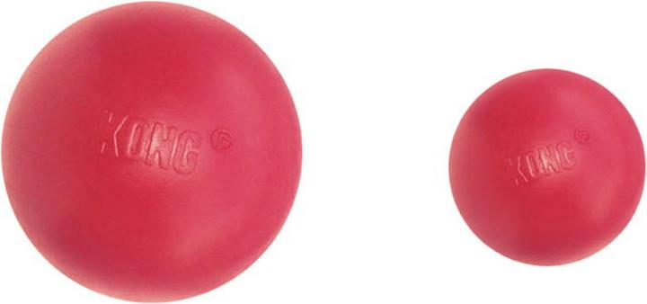 Actual product image KONG Ball (Ball toy dog)