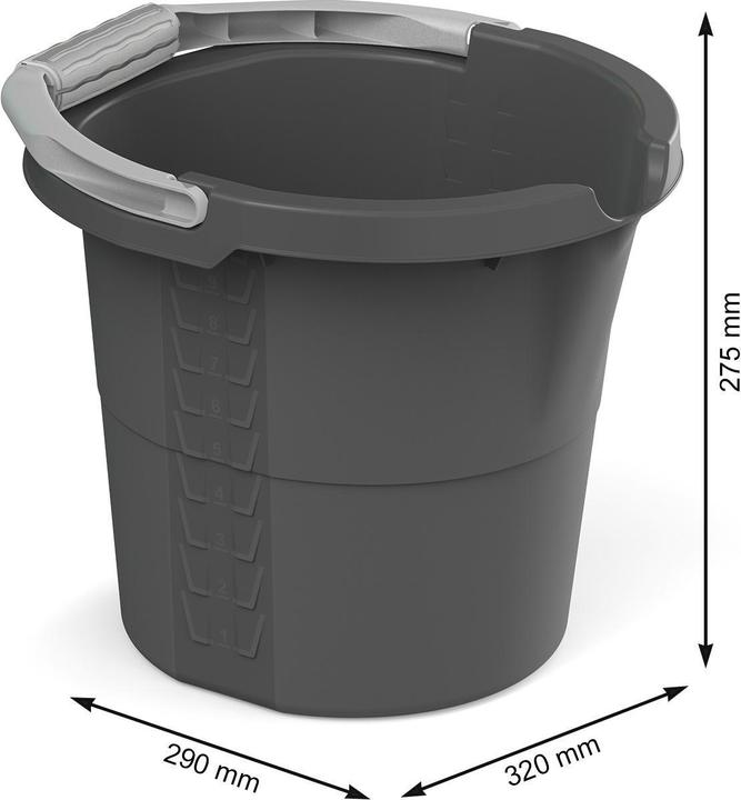 Actual product image Rotho Daily (1 pcs.)