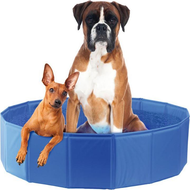 Image du produit Swisspet Parc à chiens Planchi (Piscine pour chiens)