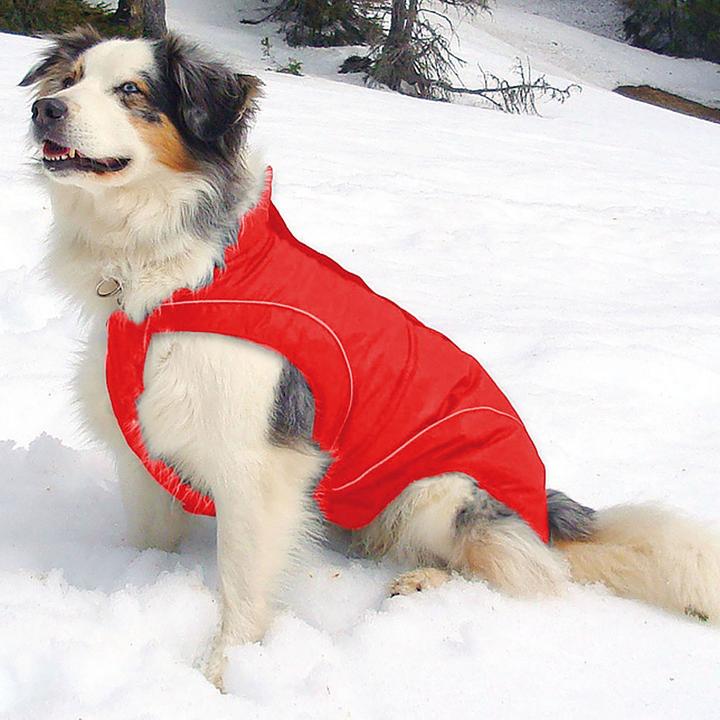 Immagine prodotto Swisspet Giacca Climaro Softshell (XS, Cappotto per cani)