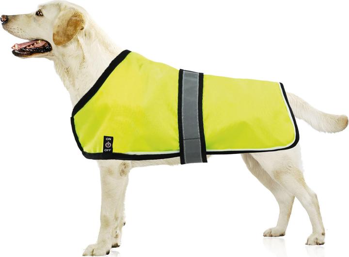 Image du produit Swisspet Veste lumineuse avec LED rouge (L, Manteau pour chien)