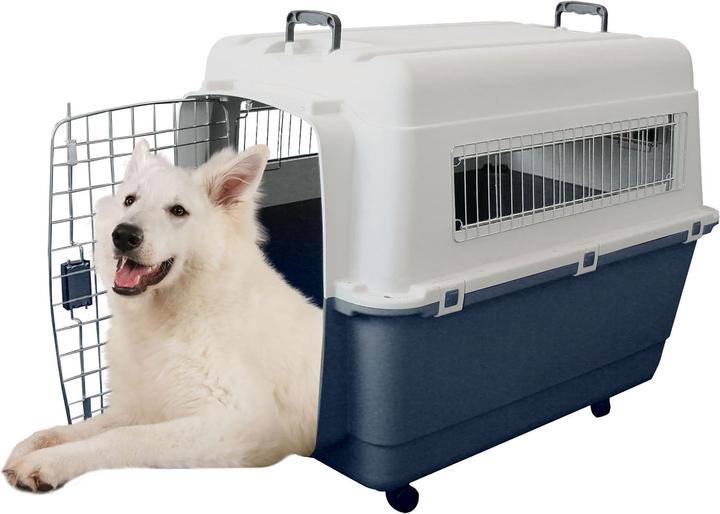 Image du produit Swisspet Boîte de transport FB6 (Chien, Verrouillable)