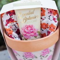 Produktbild Accentra Handpflegeset ESSENTIAL BOTANICS - CLASSICS in Blumentopf, inkl. 60ml Hand- & Nagelcreme, Gartenhand (Manicure set)