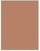 Image du produit Guerlain Terracotta La poudre bronzante (04 Deep Cool, Contour, 72 g)