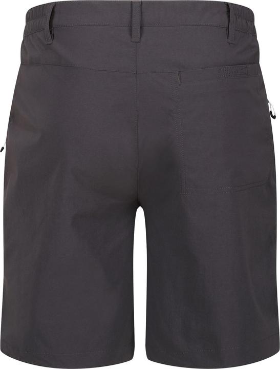 Image du produit Regatta - Short de marche HIGHTON - Homme (44 D)