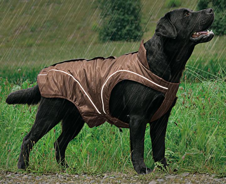 Produktbild Swisspet Climaro Winterjacke (30, Hundemantel)