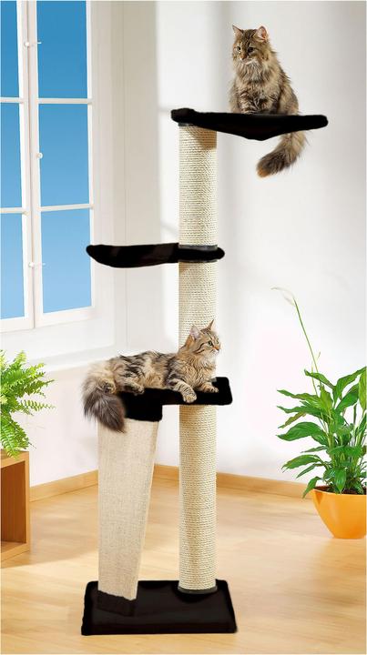 Immagine prodotto Swisspet Pisa (155 cm, Nero)