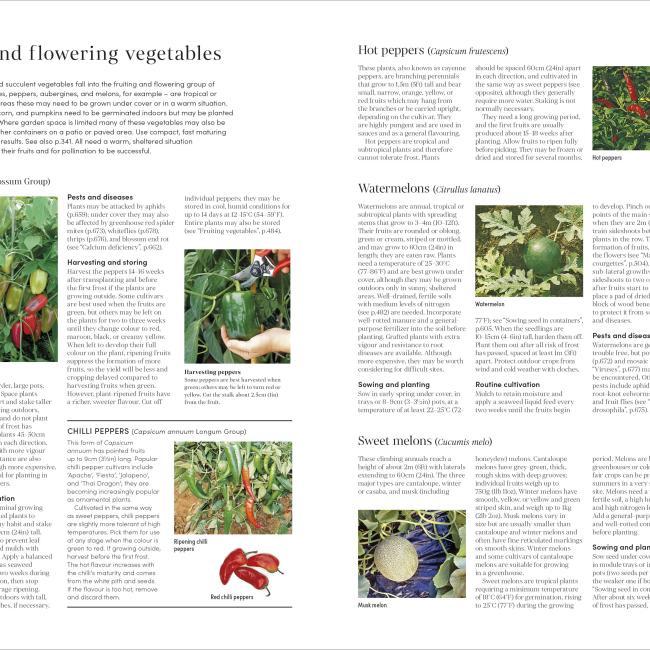 Produktbild RHS Encyclopedia of Gardening New Edition (Englisch, Guy Barter, Christopher Brickell, DK, 2022)