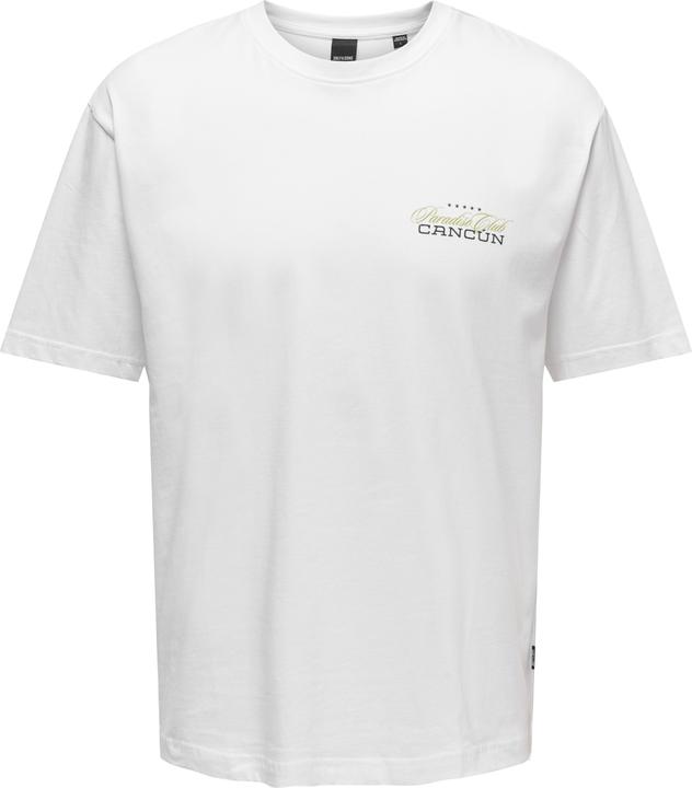 Only & Sons Onskeane Rlx Ss Print Tee Noos (XS)