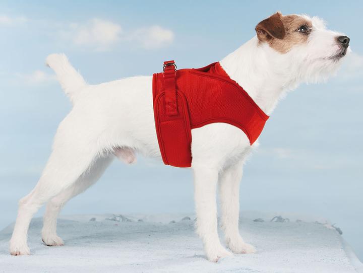 Immagine prodotto Swisspet Cane imbracatura Mesh (XS, Cane, Generale)