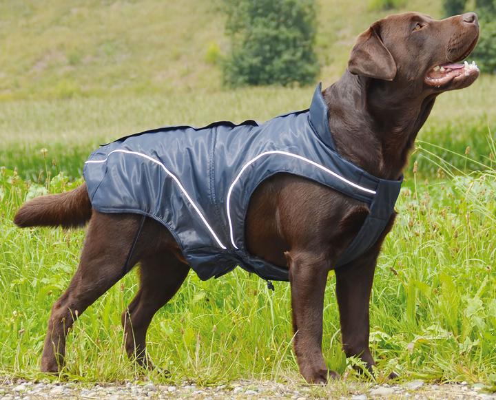 Image du produit Swisspet Veste d'hiver Climaro (45, Manteau pour chien)