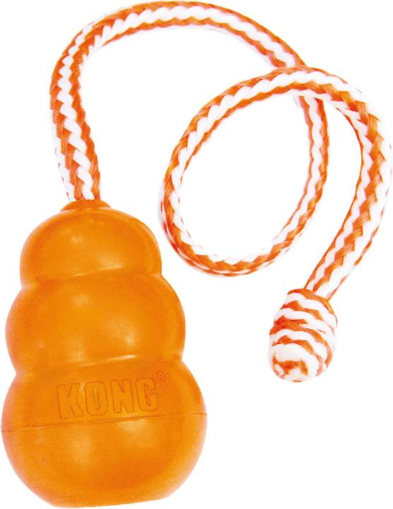 Produktbild KONG Aqua (Apportieren)