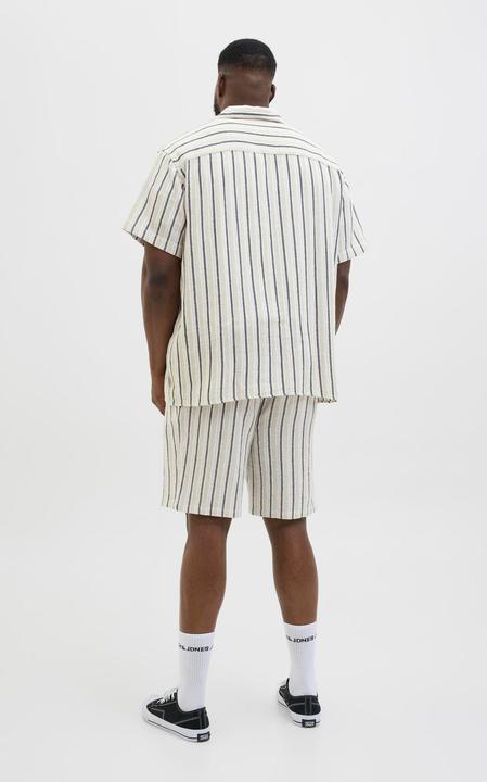 Actual product image Jack & Jones Jorcoba Stripe Resort Shirt Ss Sn Pls (4XL)