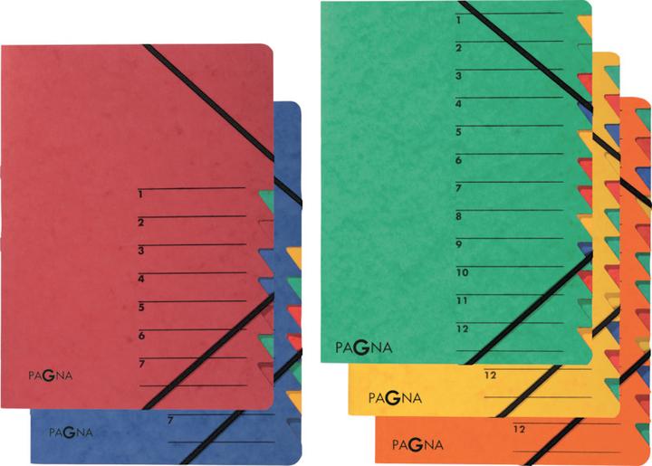 Actual product image Pagna Folder Easy (A4, 1 x)