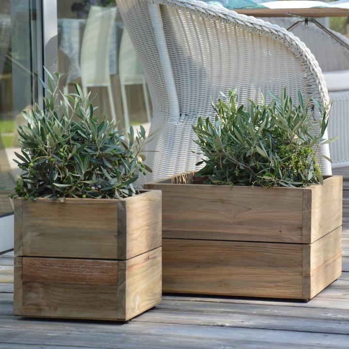 Produktbild JanKurtz Minigarden (25 cm)