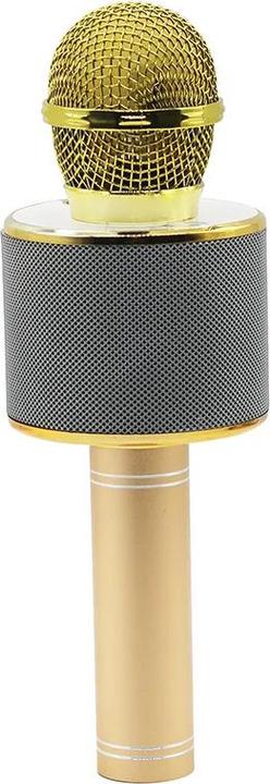 Produktbild Manta MIC10-G gold