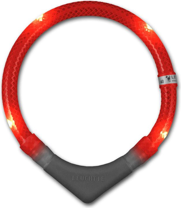 Actual product image Leuchtie Illuminated Collar Plus (XL, Dog, Walks, Work)