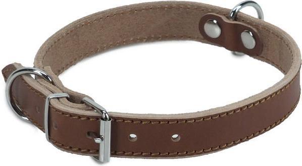 Produktbild Colly Leder Halsband extra stark (Hund, Spazieren)
