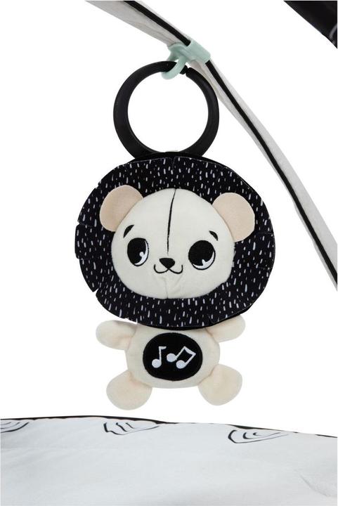 Actual product image Tiny Love Classic