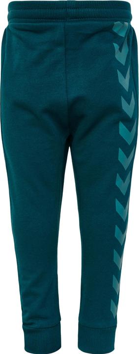 Image du produit hummel Fastwo Apple Pants (68)