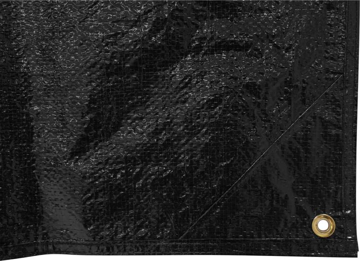 Actual product image Carlson Tent floor mat