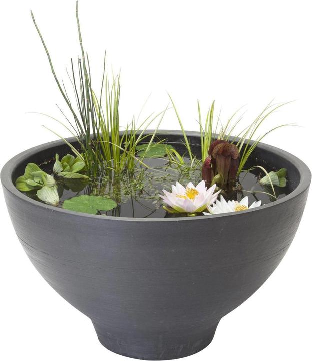 Actual product image Velda Fountain Pond
