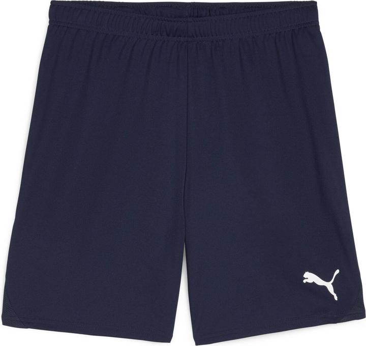 Puma teamGOAL Shorts (XL)